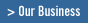 Our Business