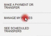 Making a payment (payee)