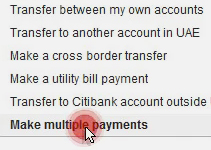 Making multiple payments