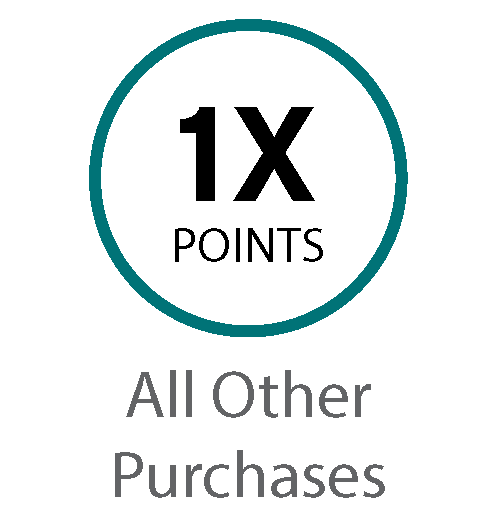 1X All Other Purchases