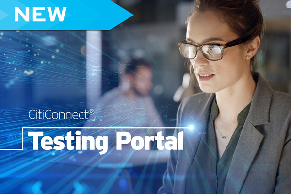 CitiConnect Testing Portal Video Screenshot